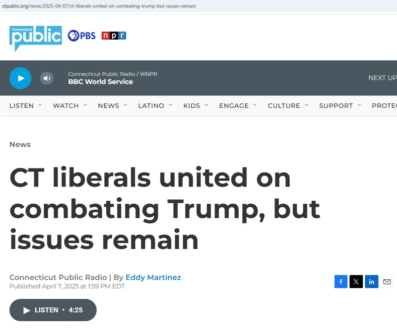 Katy_Slininger_ctpublic.org_Apr_7_2025.png_#15