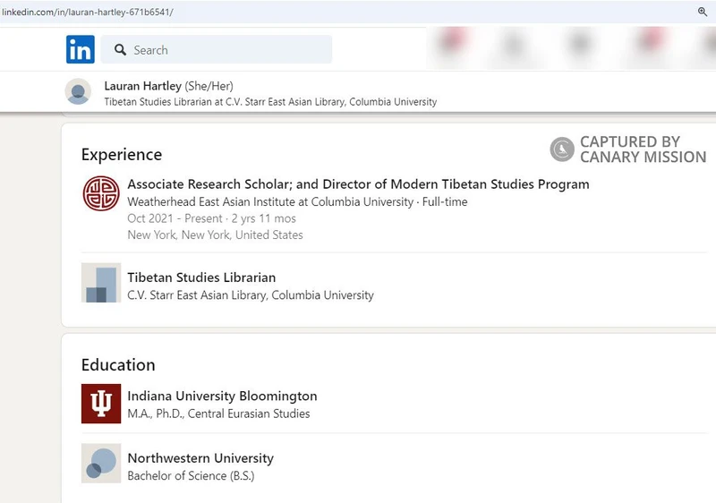 Lauran Hartley cm08 LinkedIn_#8