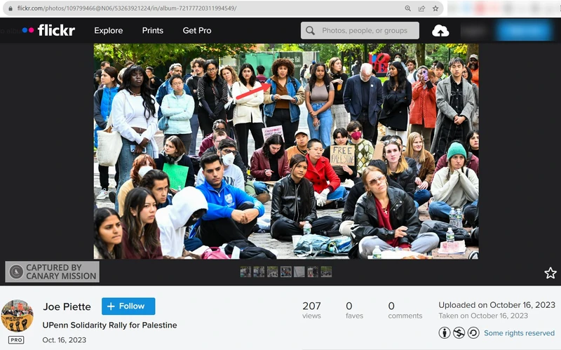 Layla Sayed cm01 flickr.com_#1