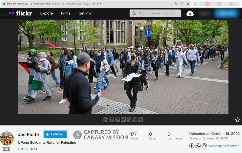 Layla Sayed cm02 flickr.com_#2