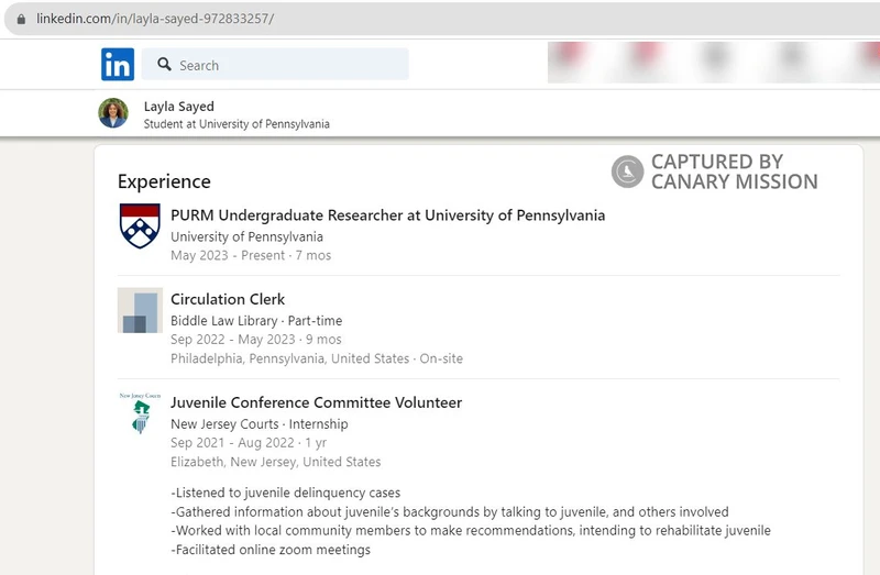 Layla Sayed cm06 LinkedIn_#6