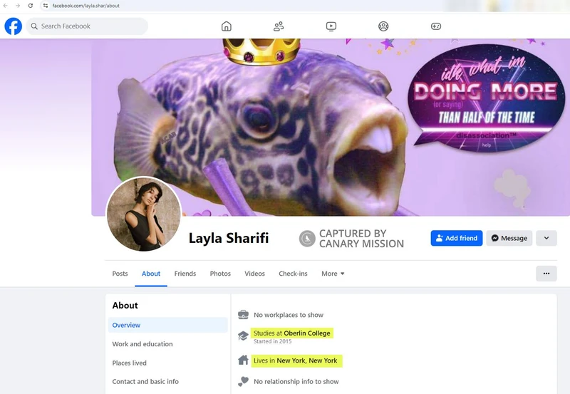 Layla Sharifi cm05 Facebook_#4