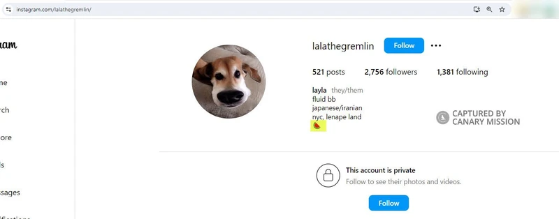 Layla Sharifi cm07 Instagram_#5