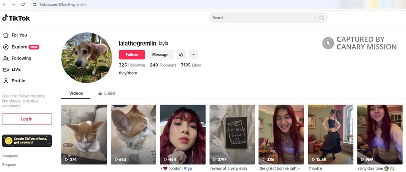 Layla Sharifi cm08 TikTok_#6