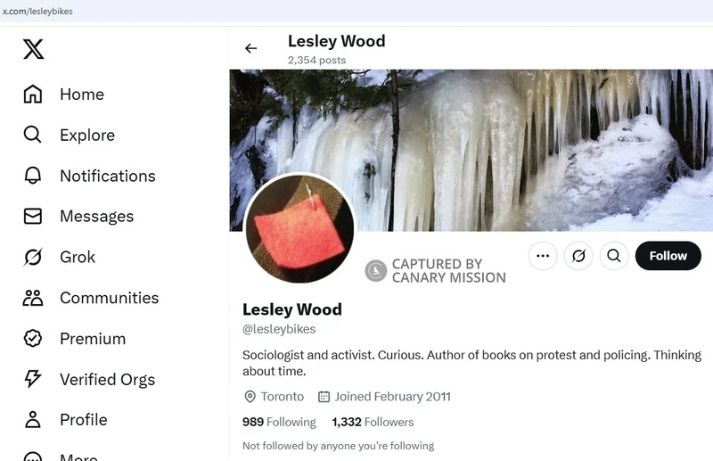 Lesley Wood_#11