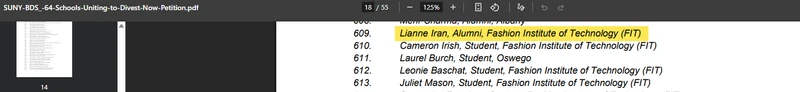 Lianne_Iran__jan_15_2024_amchainitiative.org.png _#1