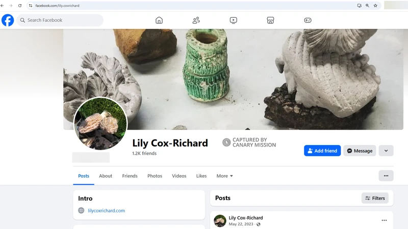 Lily Cox-Richard_#9