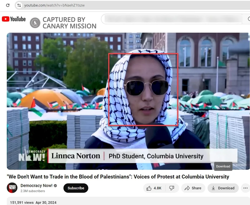 Linnea Norton cm01 YouTube_#1