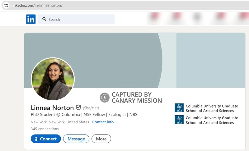 Linnea Norton cm03 LinkedIn_#3