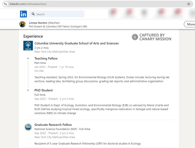 Linnea Norton cm04 LinkedIn_#4