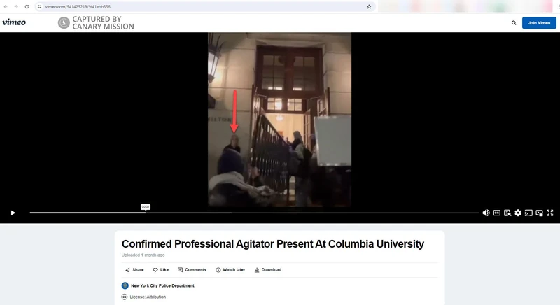 Lisa_Fithian_cm03_vimeo.com_Apr_2024_O1t21i.jpg_#3