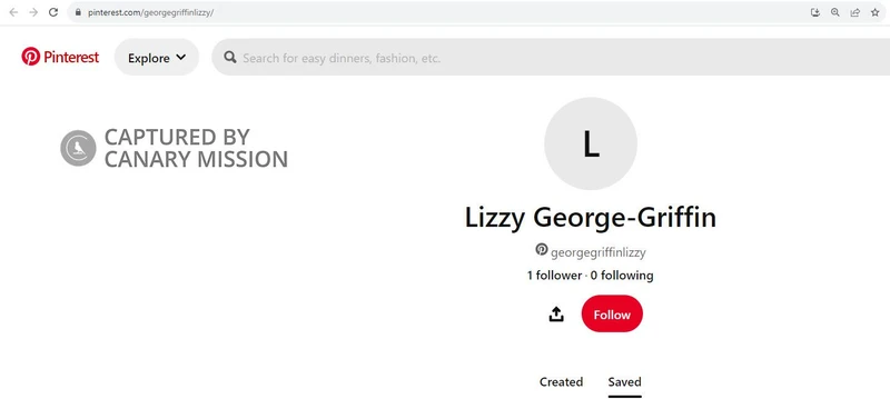 Lizzy George-Griffin cm10 Pinterest_#14