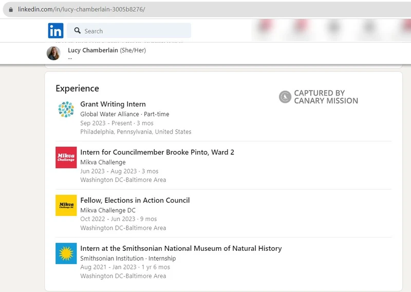 Lucy Chamberlain cm04 LinkedIn_#4