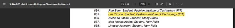 Luz Ticona_#1