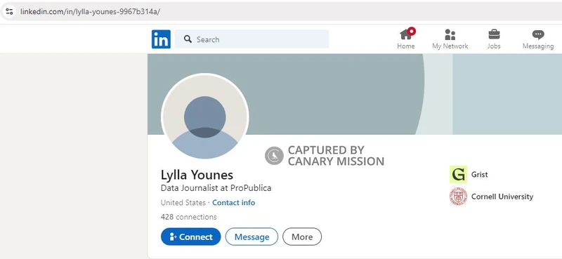 Lylla Younes cm11 LinkedIn_#11
