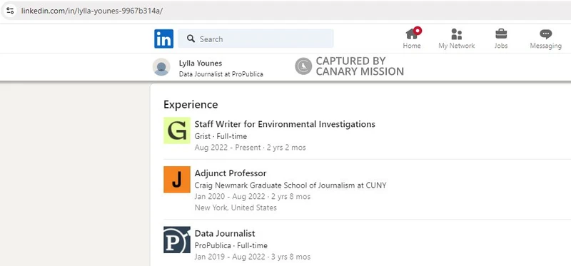 Lylla Younes cm12 LinkedIn_#12