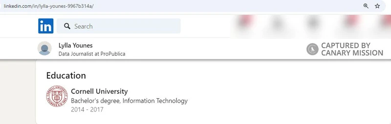 Lylla Younes cm13 LinkedIn_#13