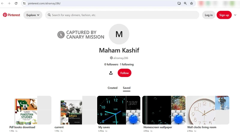 Maham Kashif cm12 pinterest.com_#14