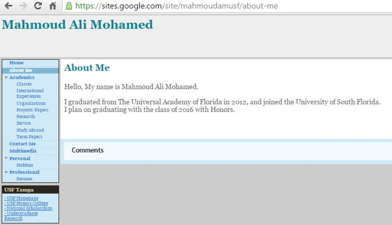 Mahmoud Ali Mohamed_#6