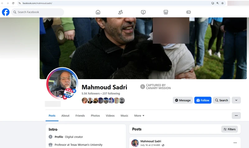 Mahmoud Sadri_#9
