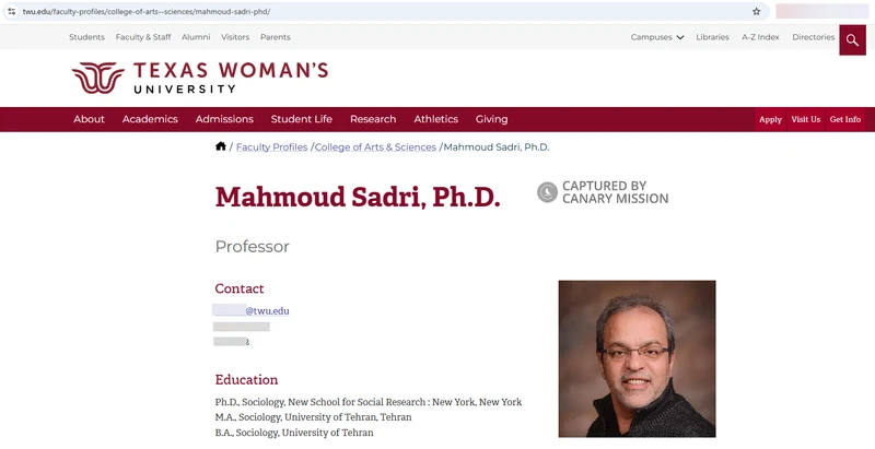 Mahmoud Sadri_#8