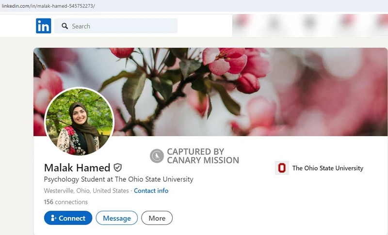 Malak Hamed cm36 LinkedIn_#32