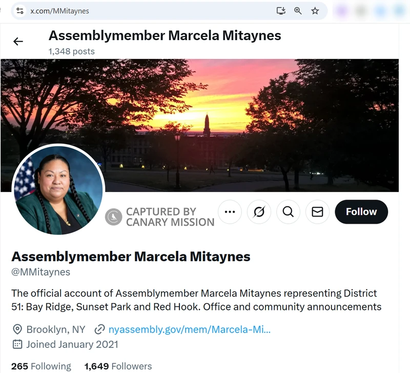 Marcela Mitaynes_#27