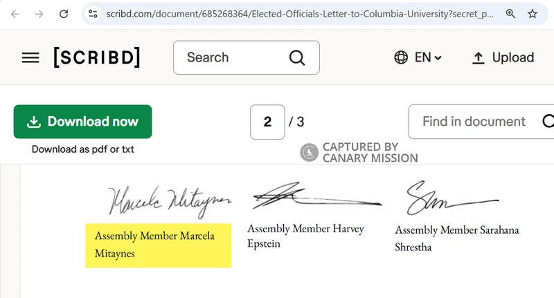 Marcela Mitaynes_#18