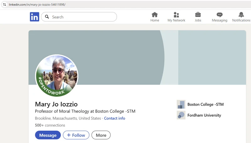 Mary_Jo_Iozzio_Jul_29_2025_LinkedIn_1_#9