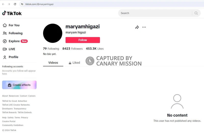 Maryam Higazi cm10 TikTok_#13