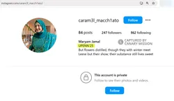 Maryam_Jamal_Instagram_Feb_16_2025.png