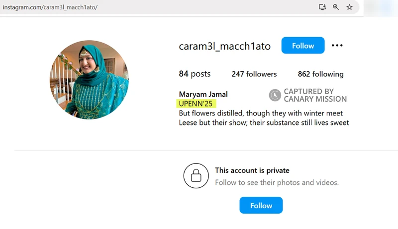 Maryam_Jamal_Instagram_Feb_16_2025.png_#8