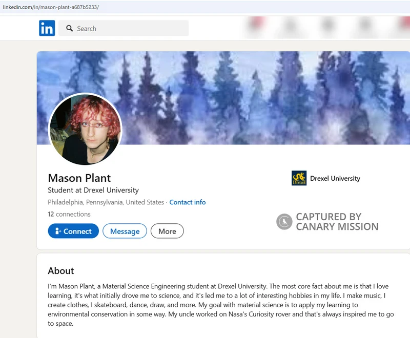 Mason Plant_#2
