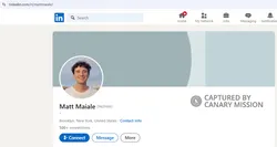 Matt Maiale