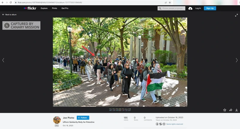 Matthew Wranovics cm01d flickr.com_#4