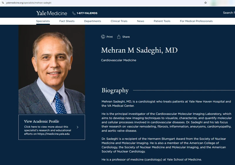 Mehran Sadeghi_#8