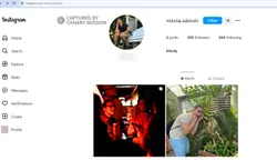 Mikolaj Zabinski cm05 Instagram