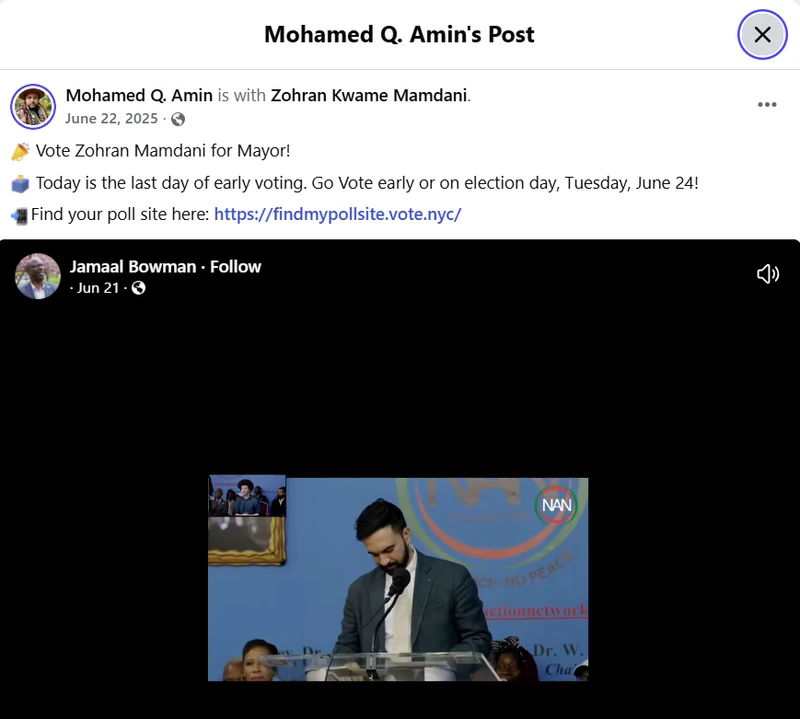 Mohamed Amin_#4