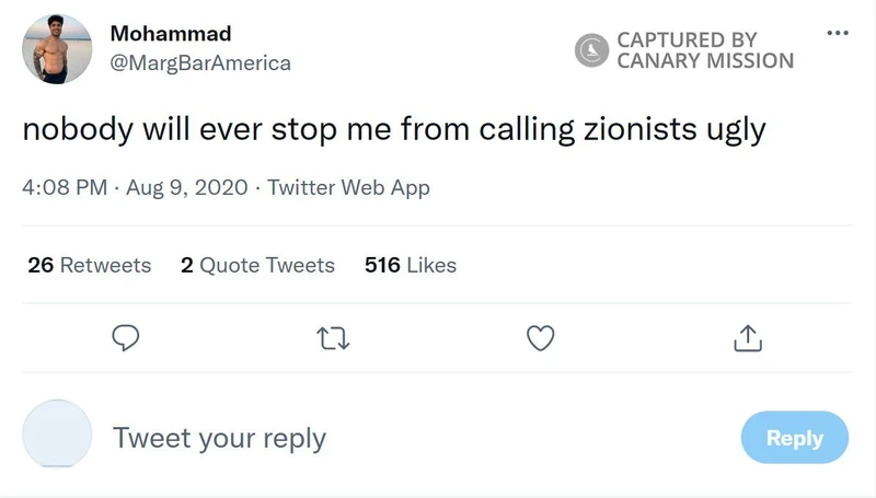 Mohammad Alizadeh cm08 Twitter_#9