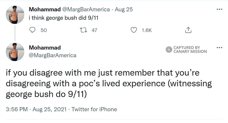 Mohammad Alizadeh cm15 Twitter_#14