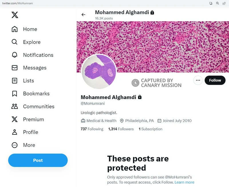 Mohammed Alghamdi cm15 Twitter_#15