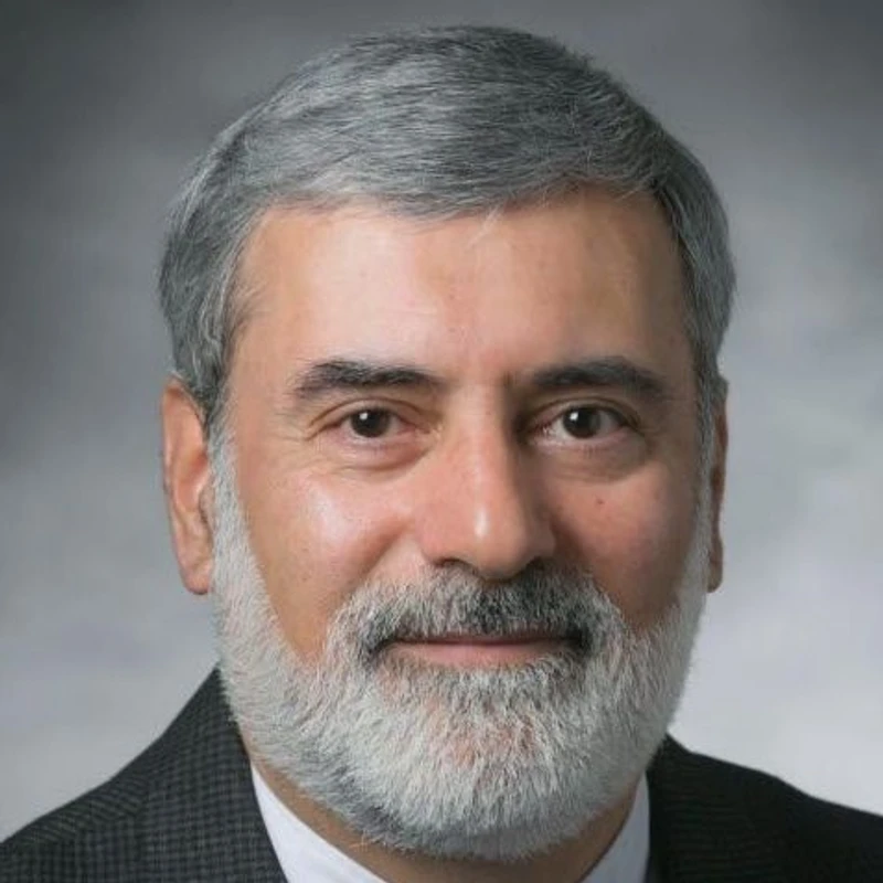 Mohsen Kadivar_#15