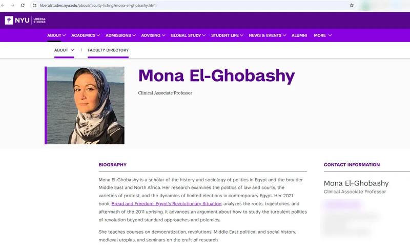 Mona El-Ghobashy_#8
