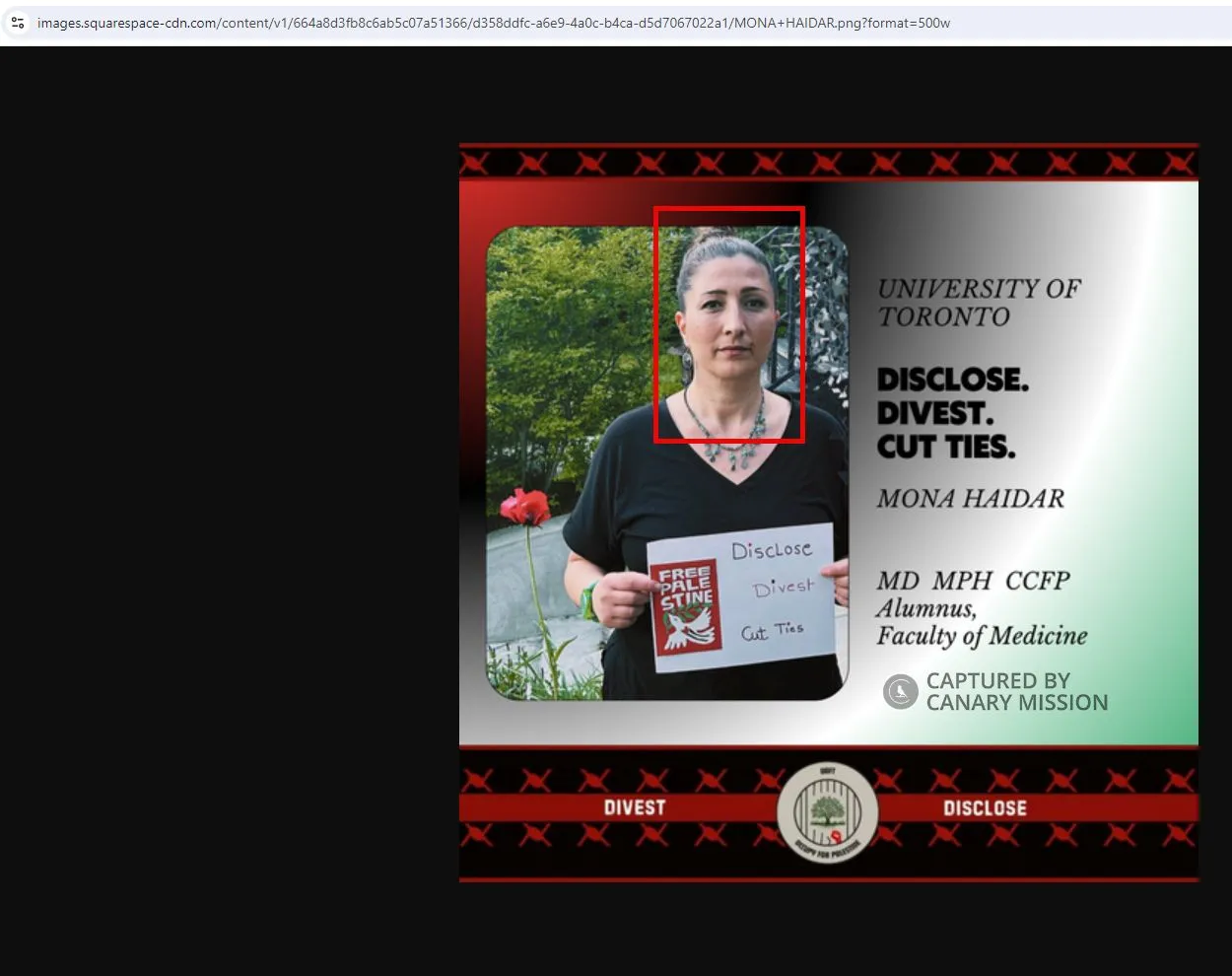 Mona Haidar  - images.squarespace-cdn.com - Jul 28, 2024