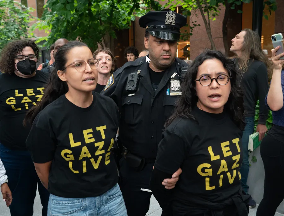NYC-DSA-Claire-Valdez--Arrest.png