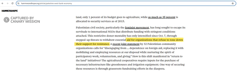 Nadine_Fattaleh_Fall_2024_Hammer_&_Hope.png _#5