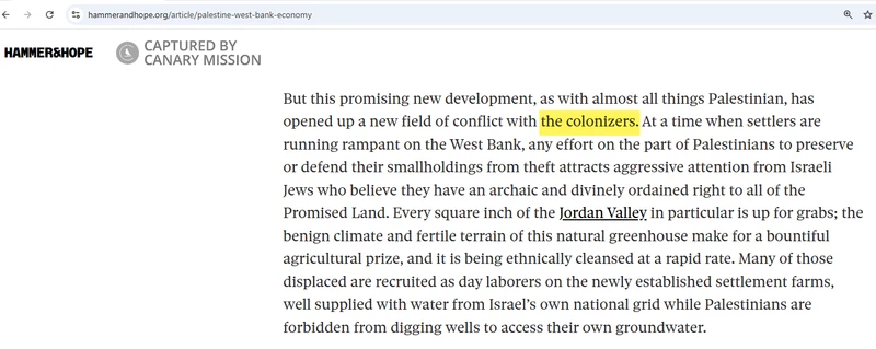 Nadine_Fattaleh_Fall_2024_Hammer_&_Hope_3.png _#7