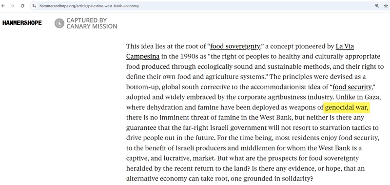 Nadine_Fattaleh_Fall_2024_Hammer_&_Hope_4.png _#6