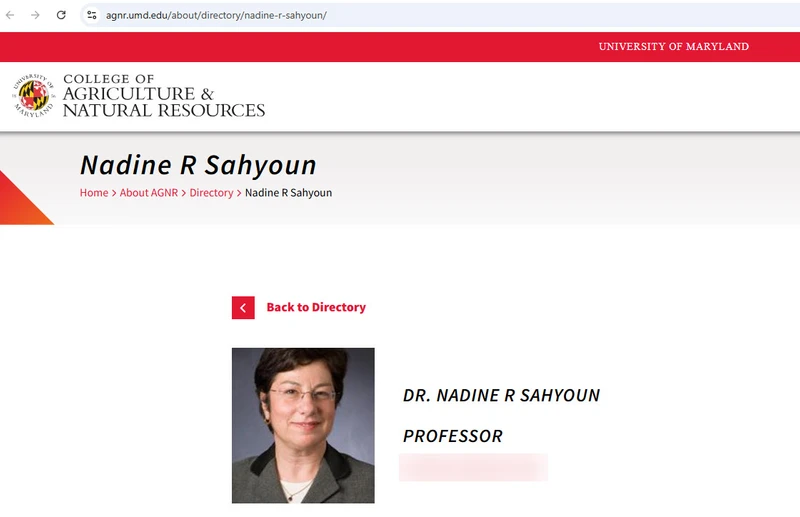 Nadine Sahyoun_#8