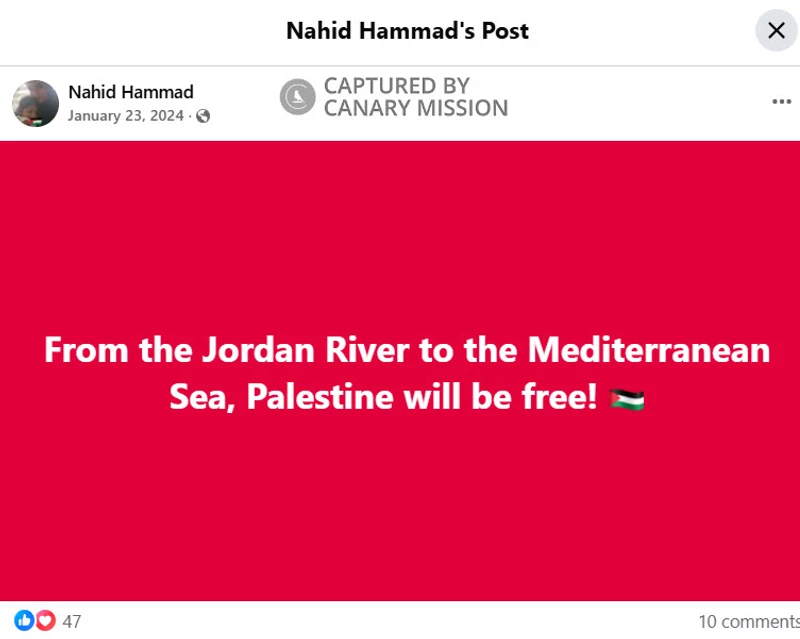 Nahid Hammad_#3